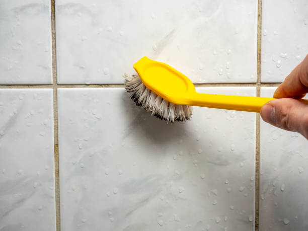 Best Residential Mold Remediation in Attica, MI