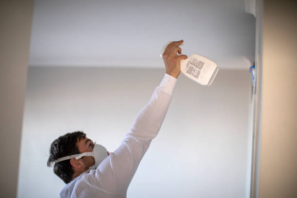 Best Mold Testing and Inspection Services in Attica, MI